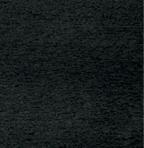 6T