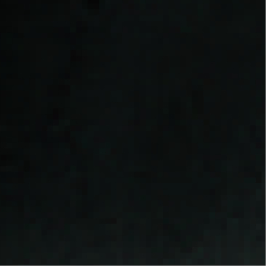 BL