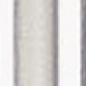 SI