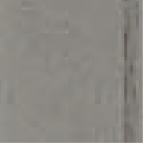 SI