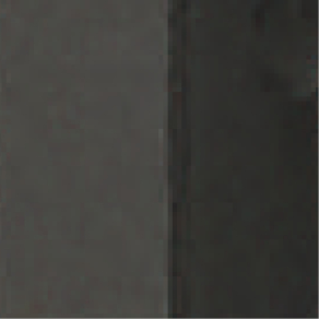 DG