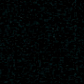 6T